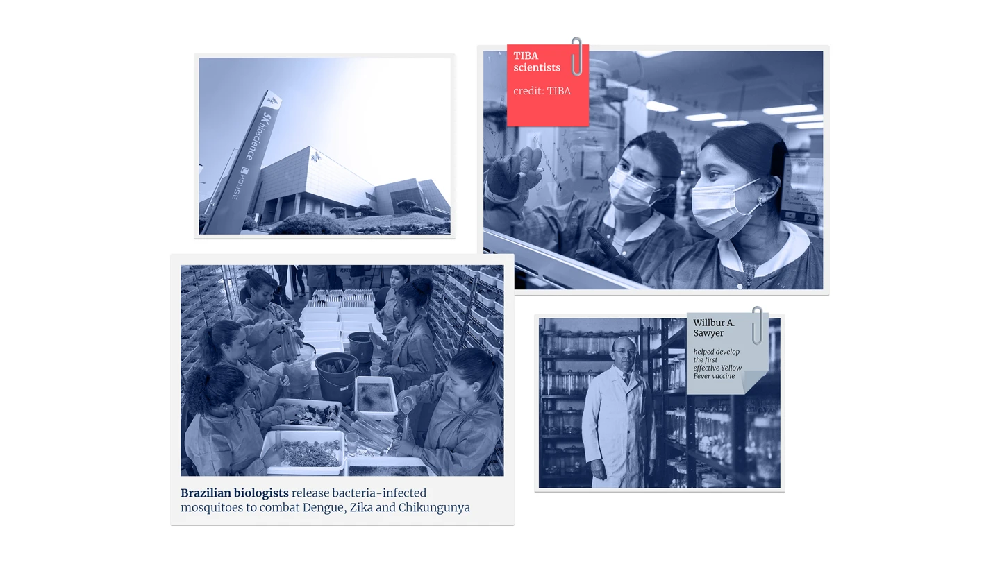 collage of different photos showing researchers around the world